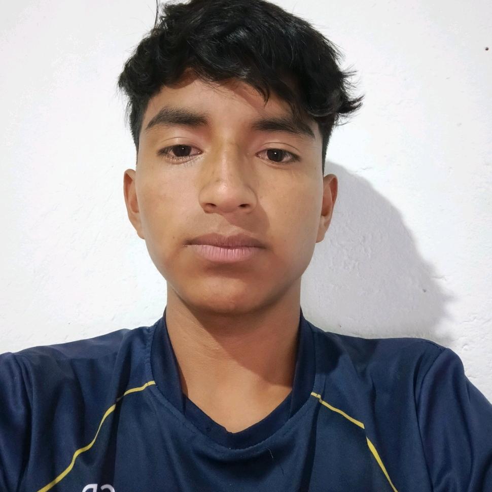 User Image