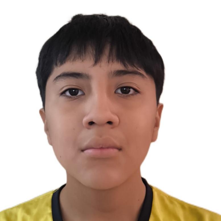 User Image